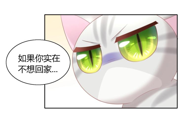 第126话 猫舍C位（二）81
