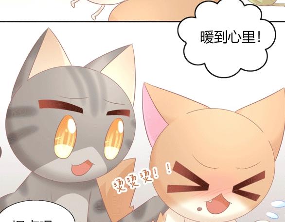 第130话 猫舍C位（六）5