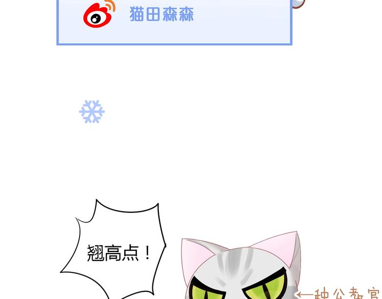第130话 猫舍C位（六）8