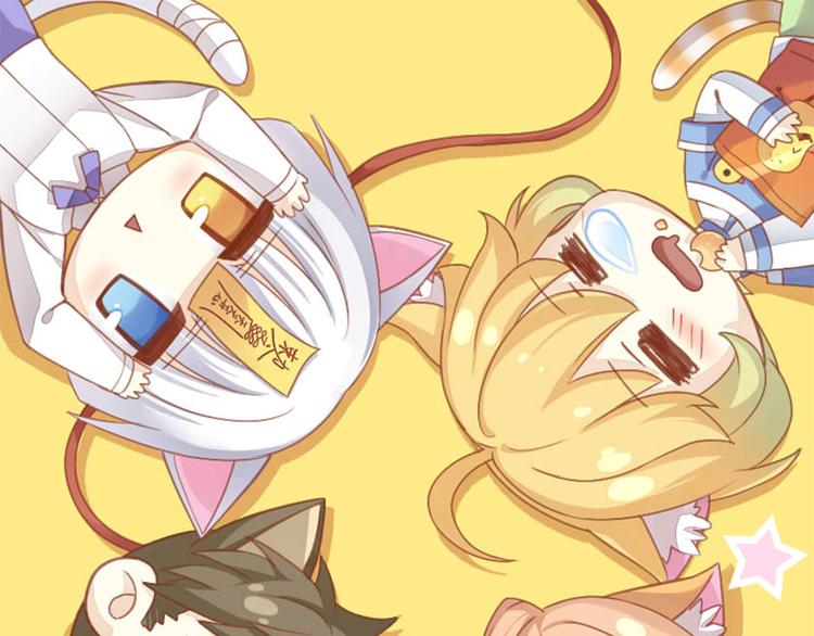 第166话 猫咪花园0