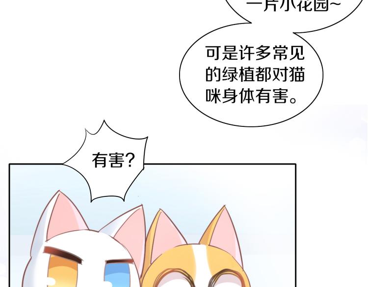 第166话 猫咪花园10