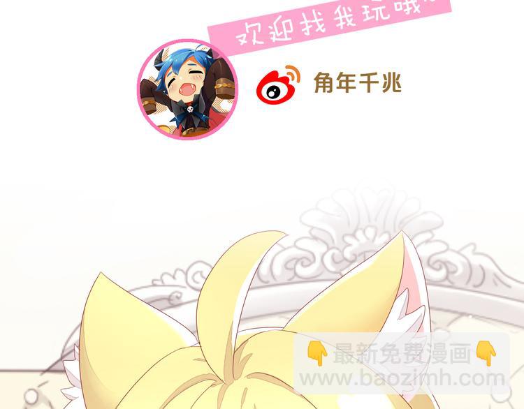 第166话 猫咪花园101