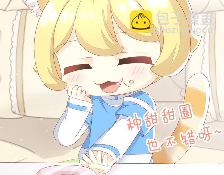 第166话 猫咪花园102