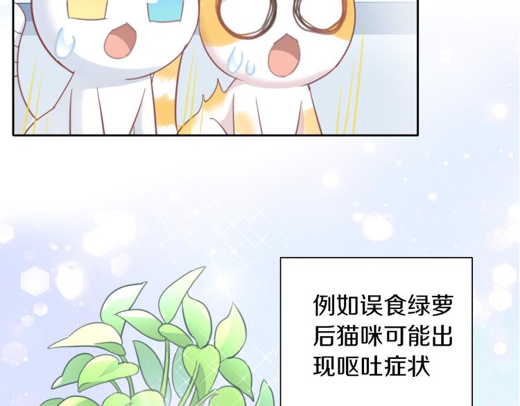 第166话 猫咪花园11