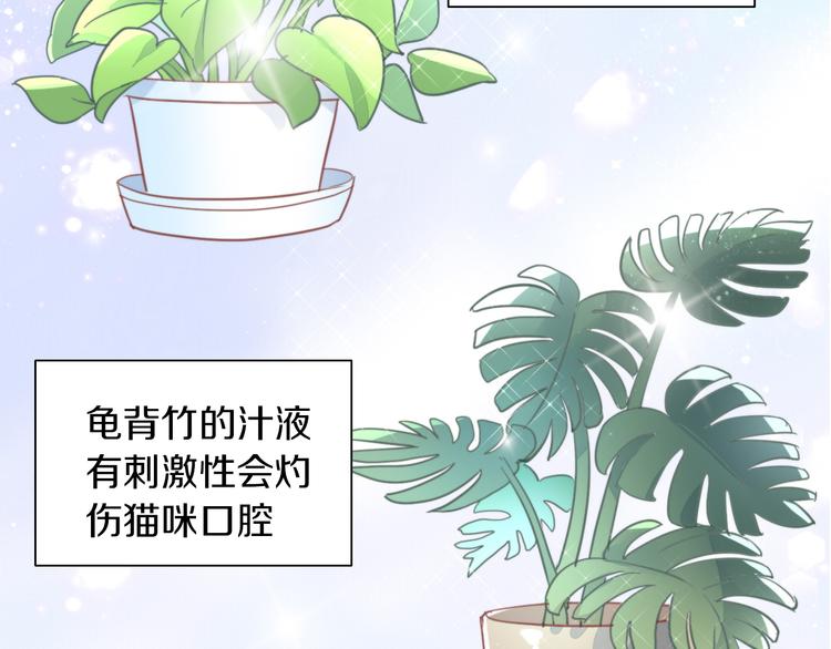 第166话 猫咪花园12