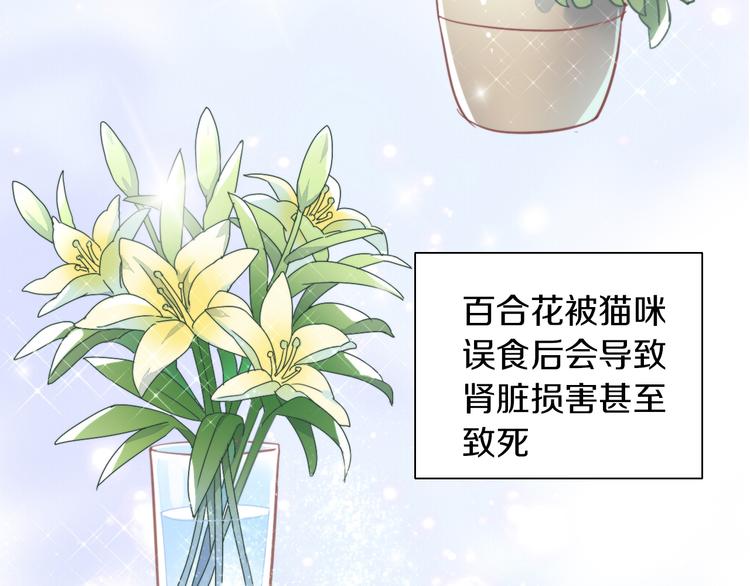 第166话 猫咪花园13