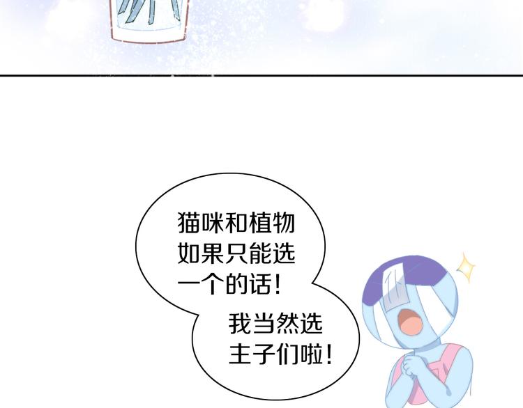 第166话 猫咪花园14