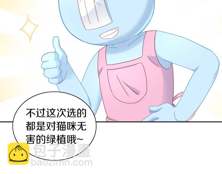 第166话 猫咪花园17