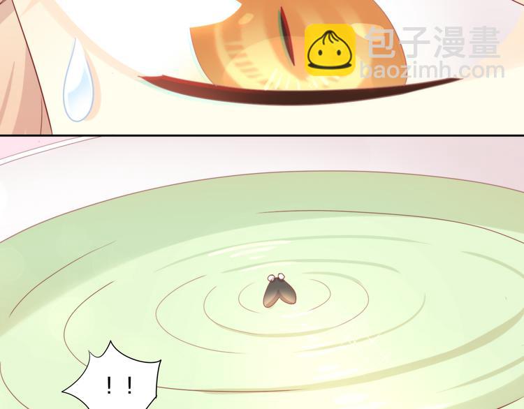 第166话 猫咪花园24