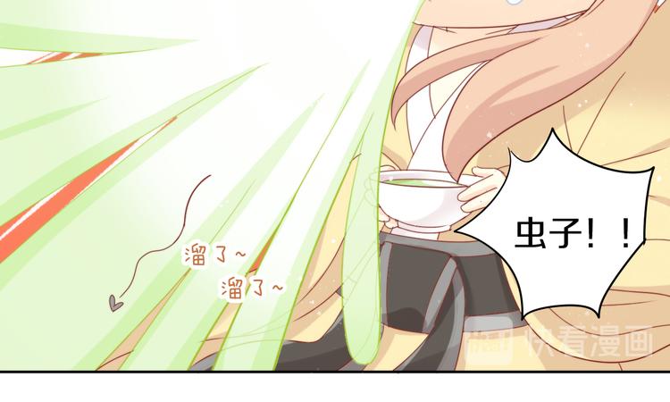 第166话 猫咪花园26