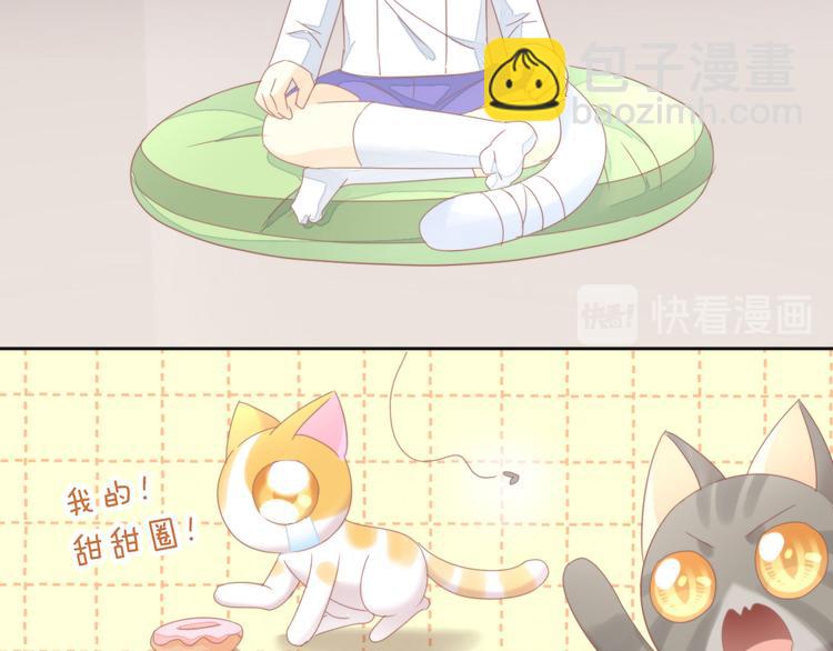 第166话 猫咪花园36