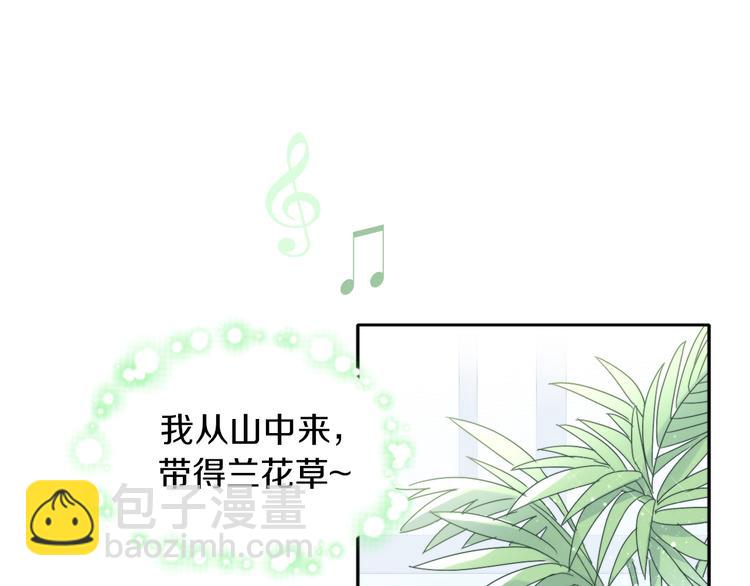 第166话 猫咪花园4