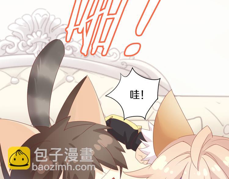 第166话 猫咪花园40