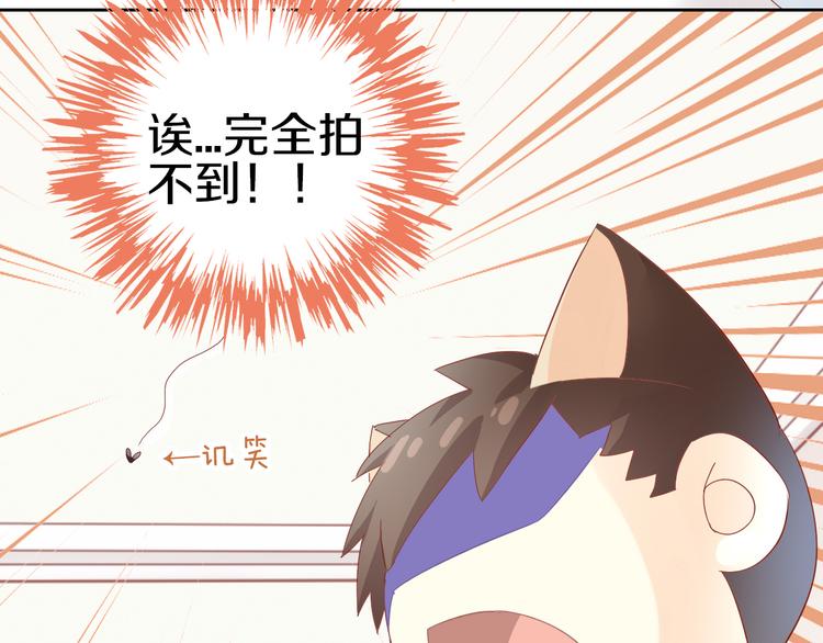 第166话 猫咪花园42