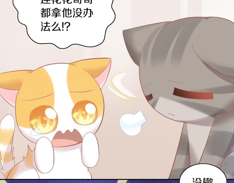 第166话 猫咪花园45