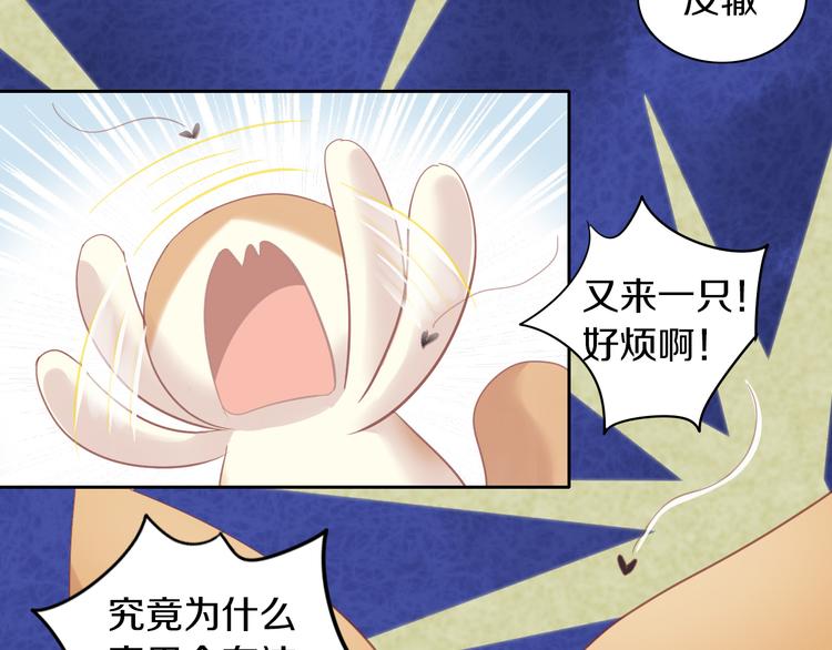 第166话 猫咪花园46