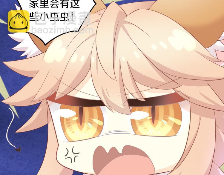 第166话 猫咪花园51