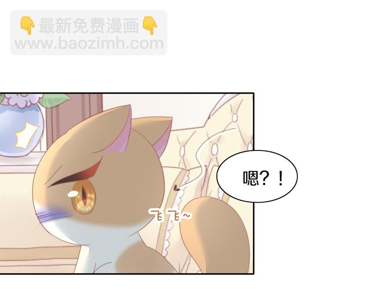 第166话 猫咪花园53