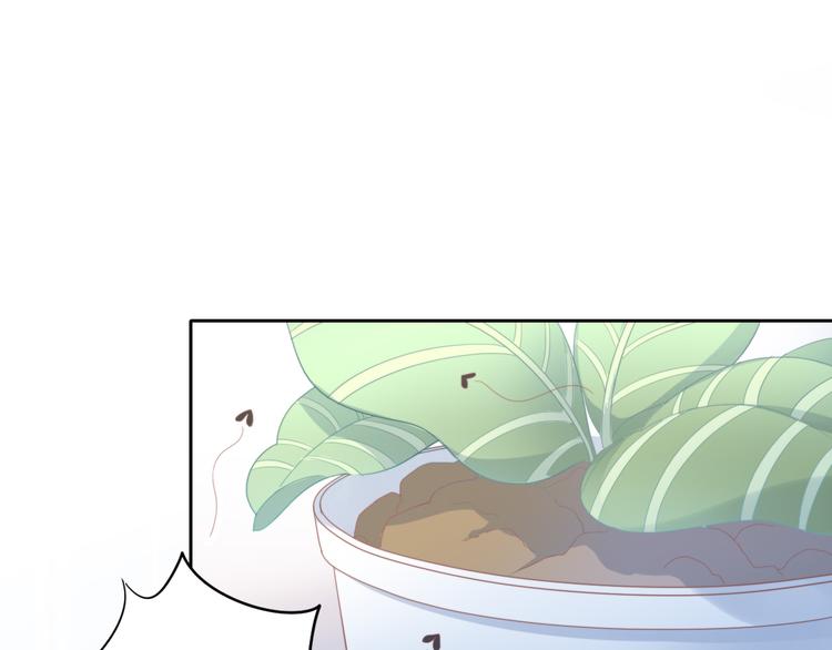 第166话 猫咪花园54