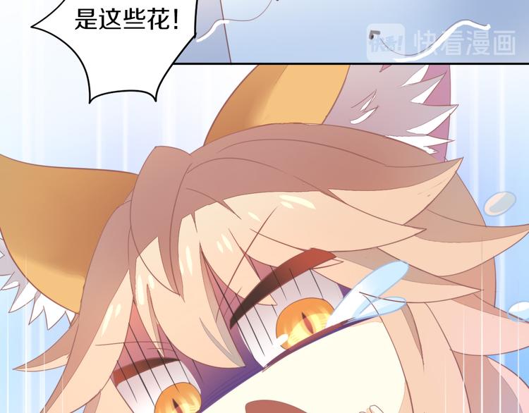 第166话 猫咪花园55