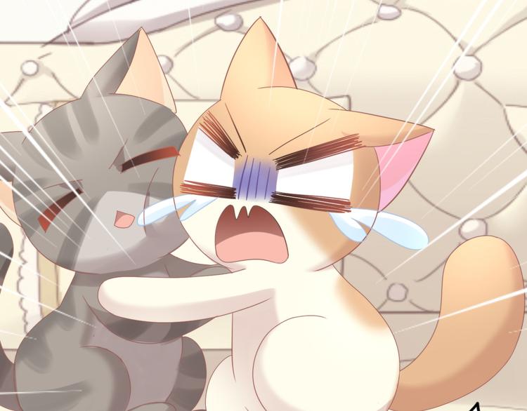 第166话 猫咪花园58