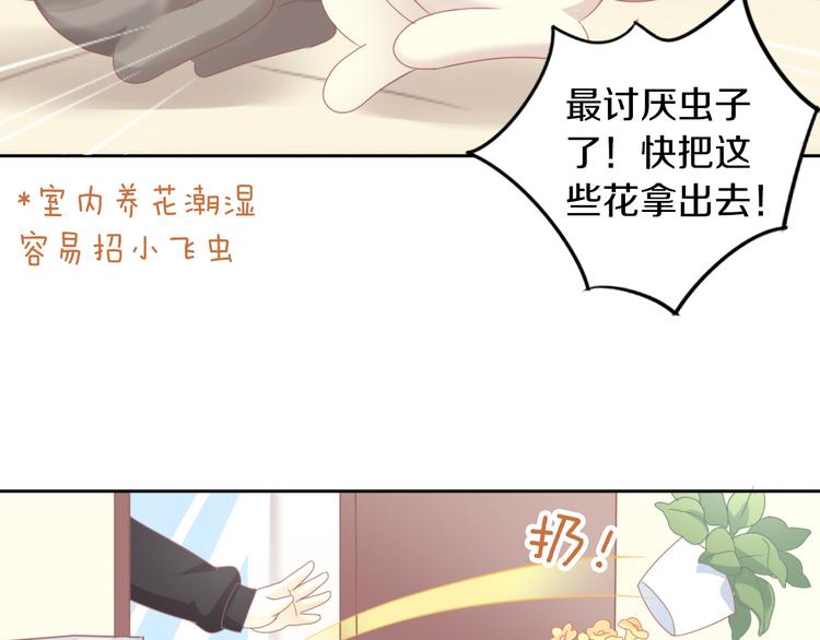 第166话 猫咪花园59