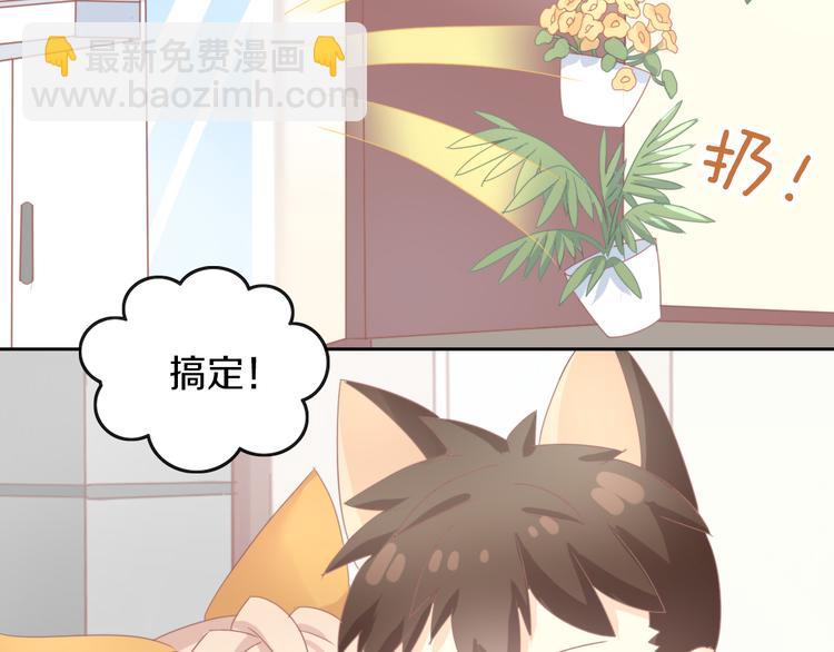 第166话 猫咪花园60