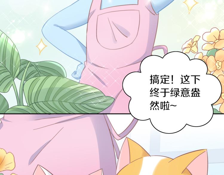 第166话 猫咪花园7