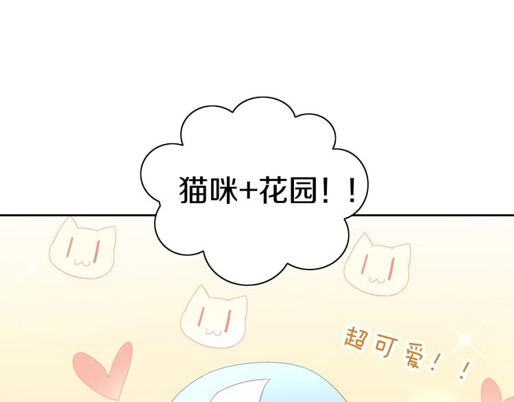 第166话 猫咪花园79
