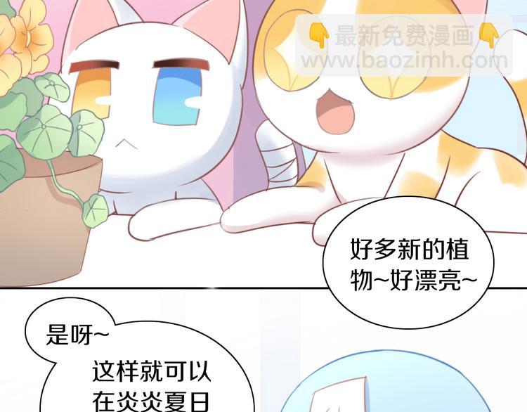 第166话 猫咪花园8