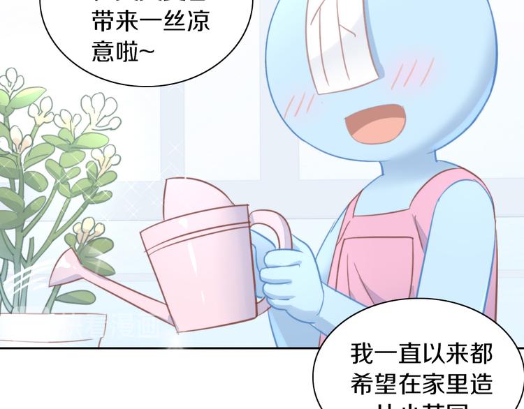 第166话 猫咪花园9
