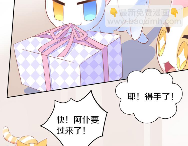 第166话 猫咪花园95
