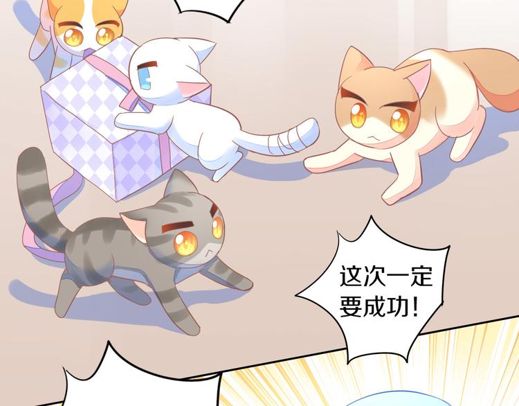 第166话 猫咪花园96