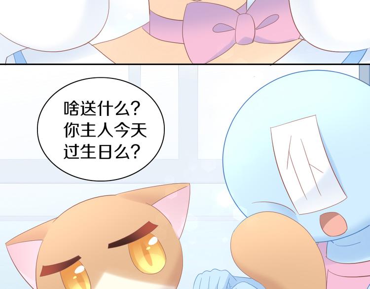 第195话  宠物毛毡7