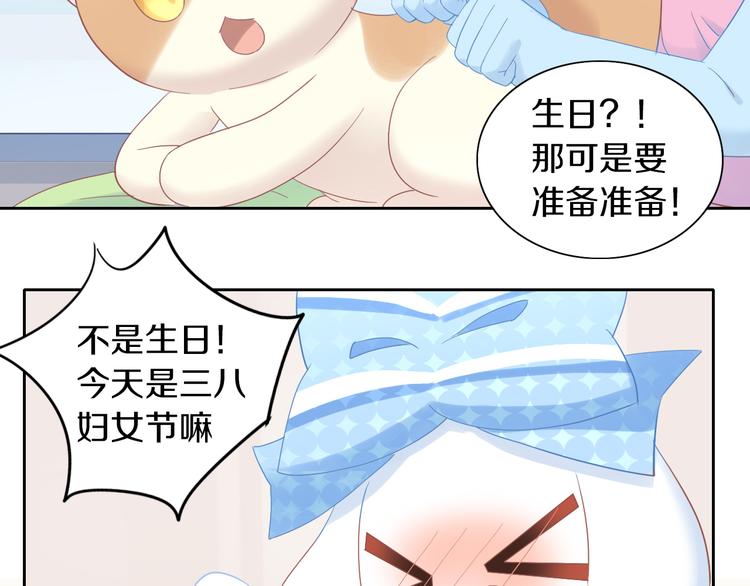 第195话  宠物毛毡8
