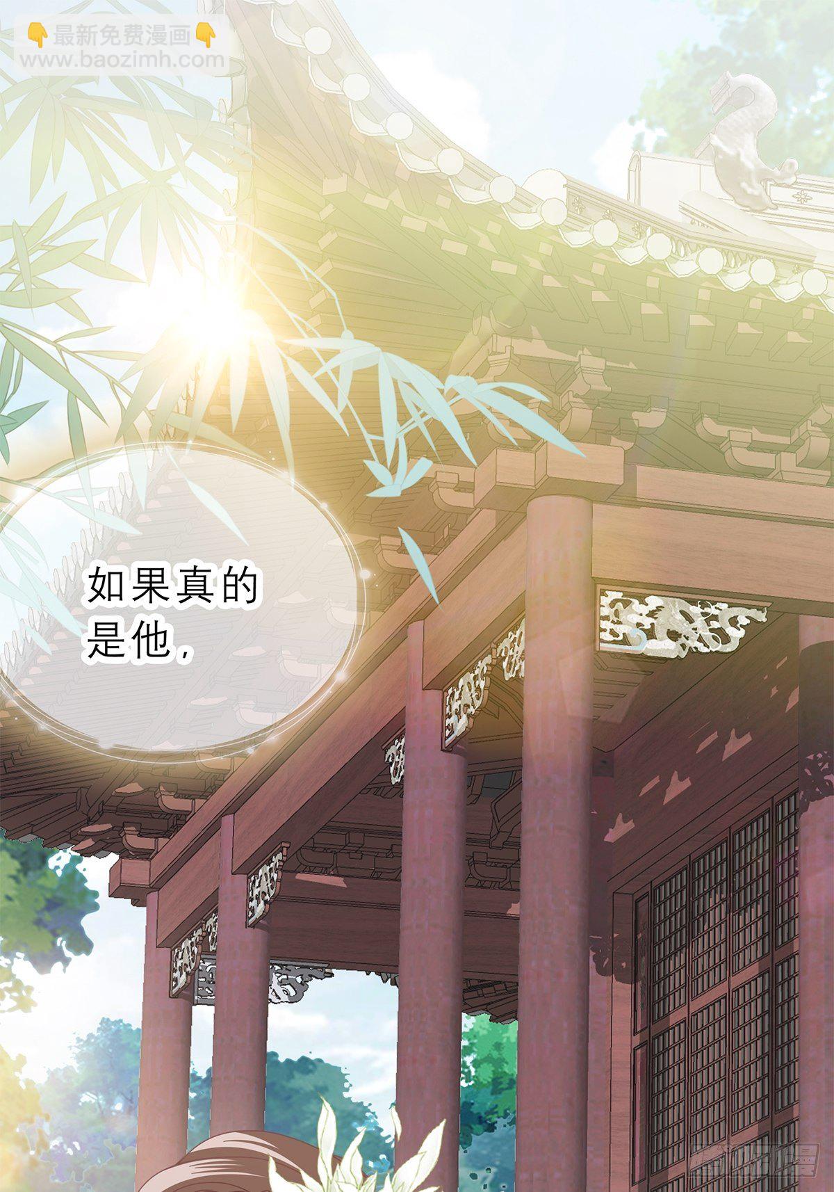 王爷，小心！2