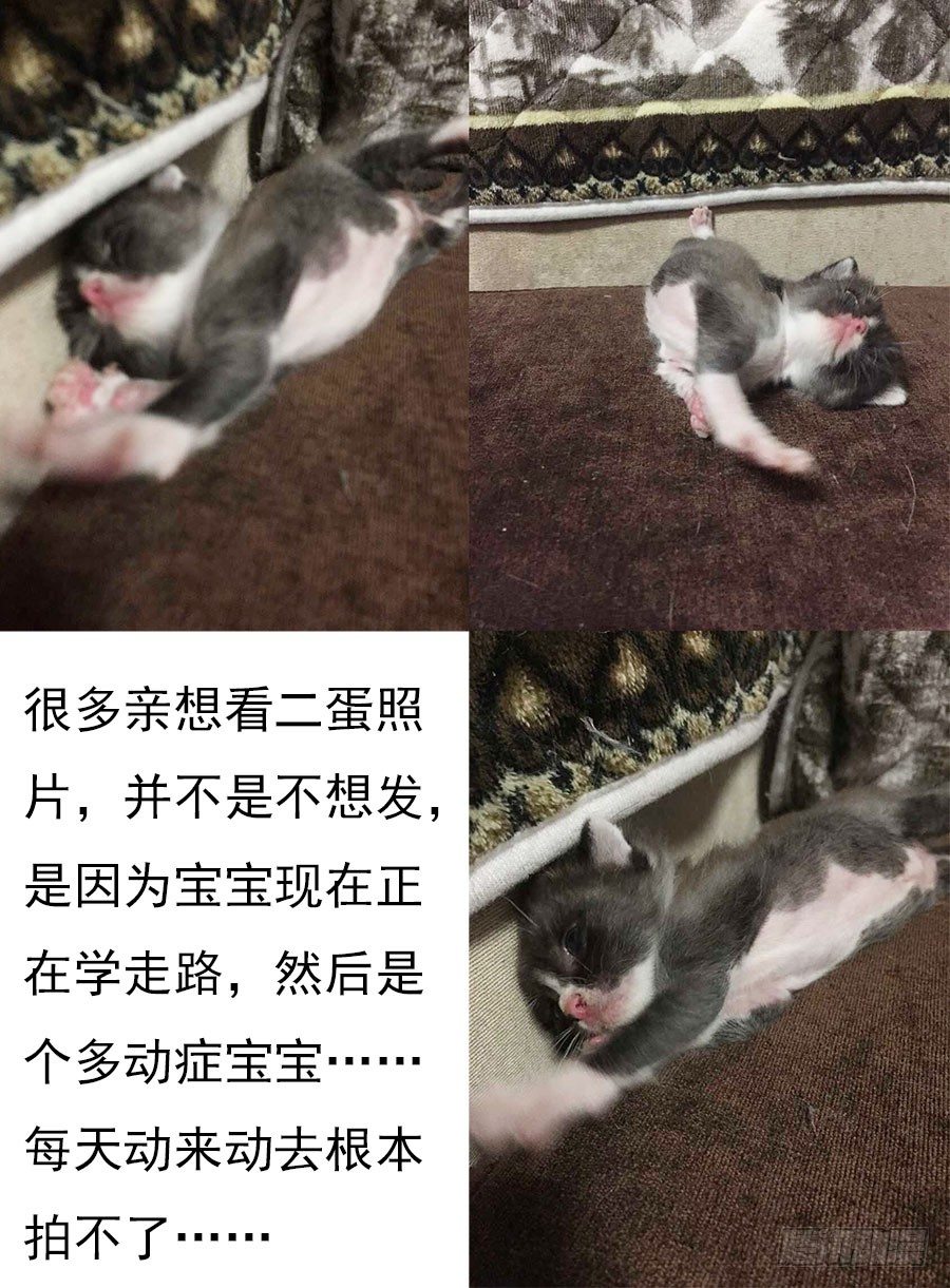 21.缚身灵之怨10