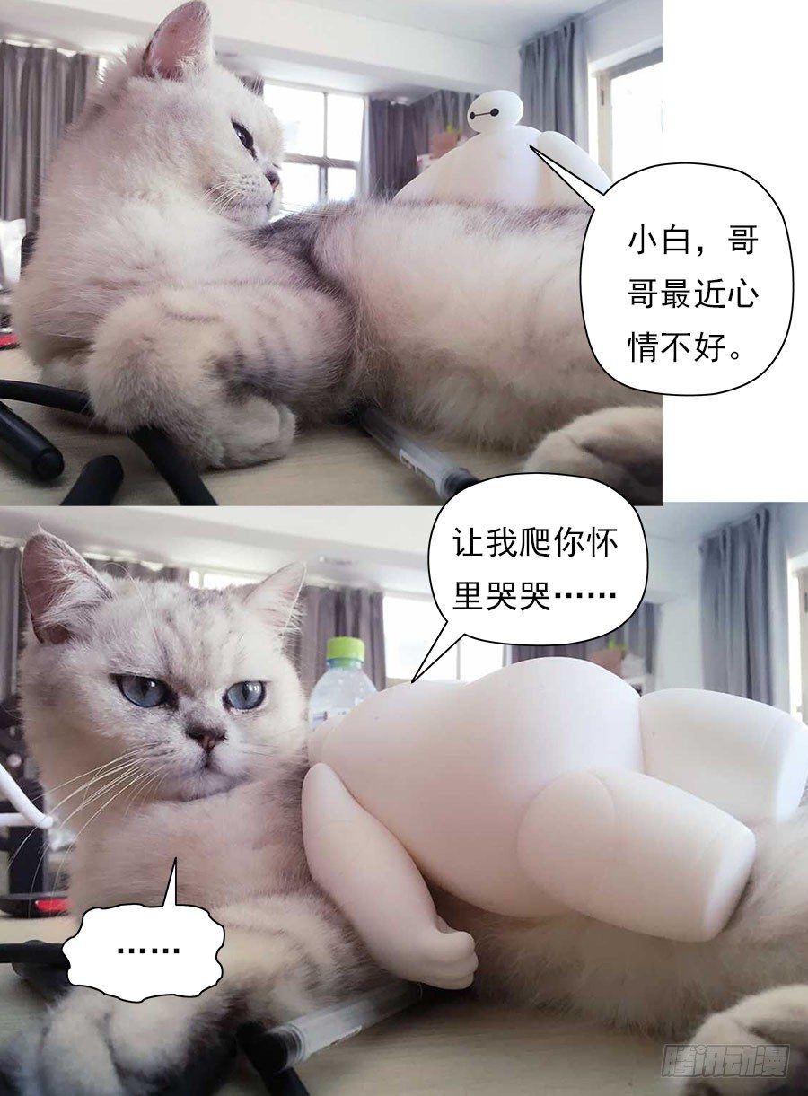 21.缚身灵之怨11
