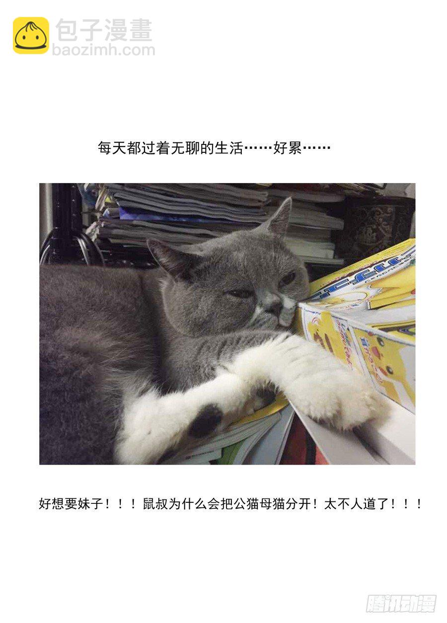 45.人造冥脉12