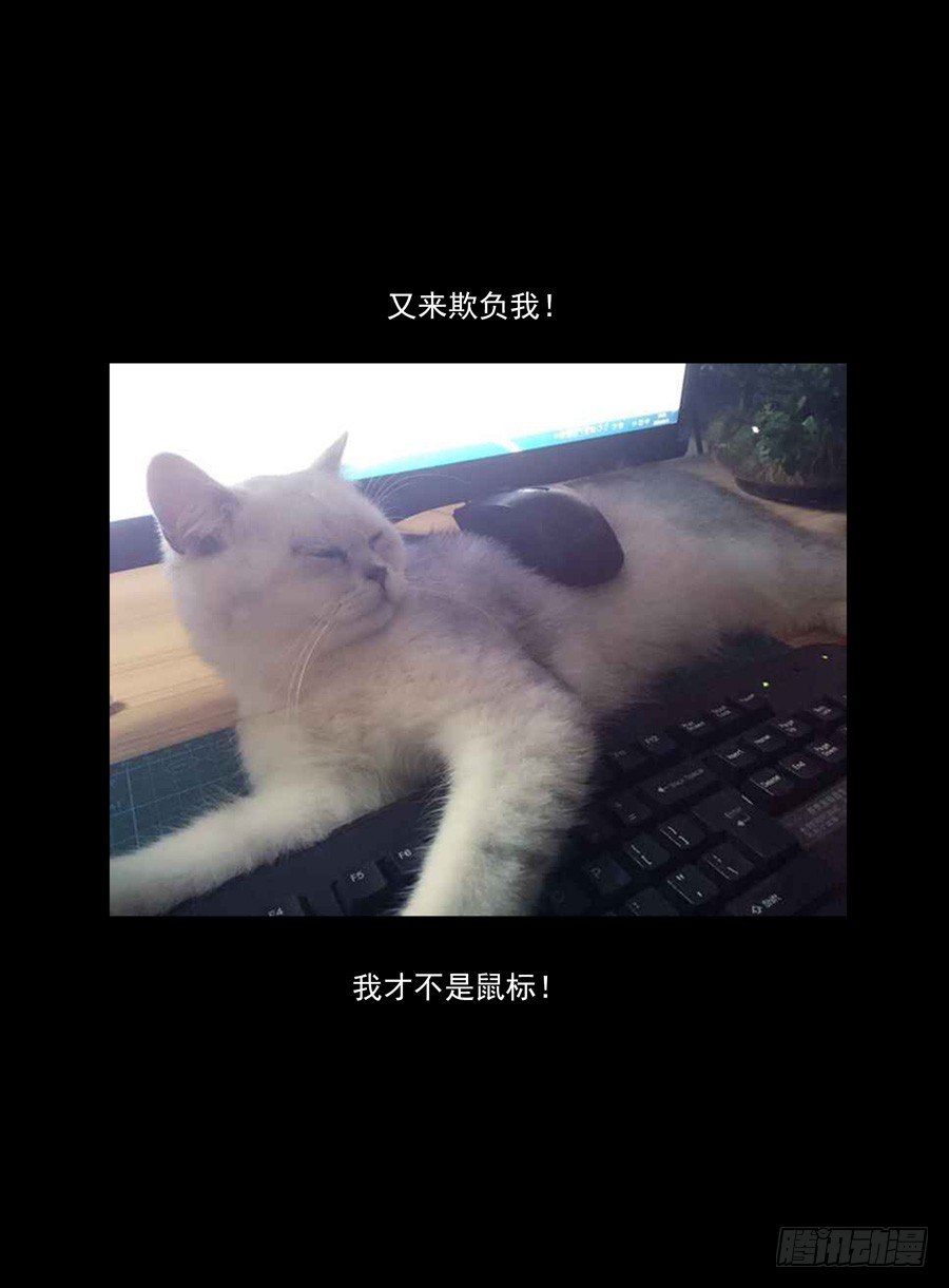 47.中秋番外篇13