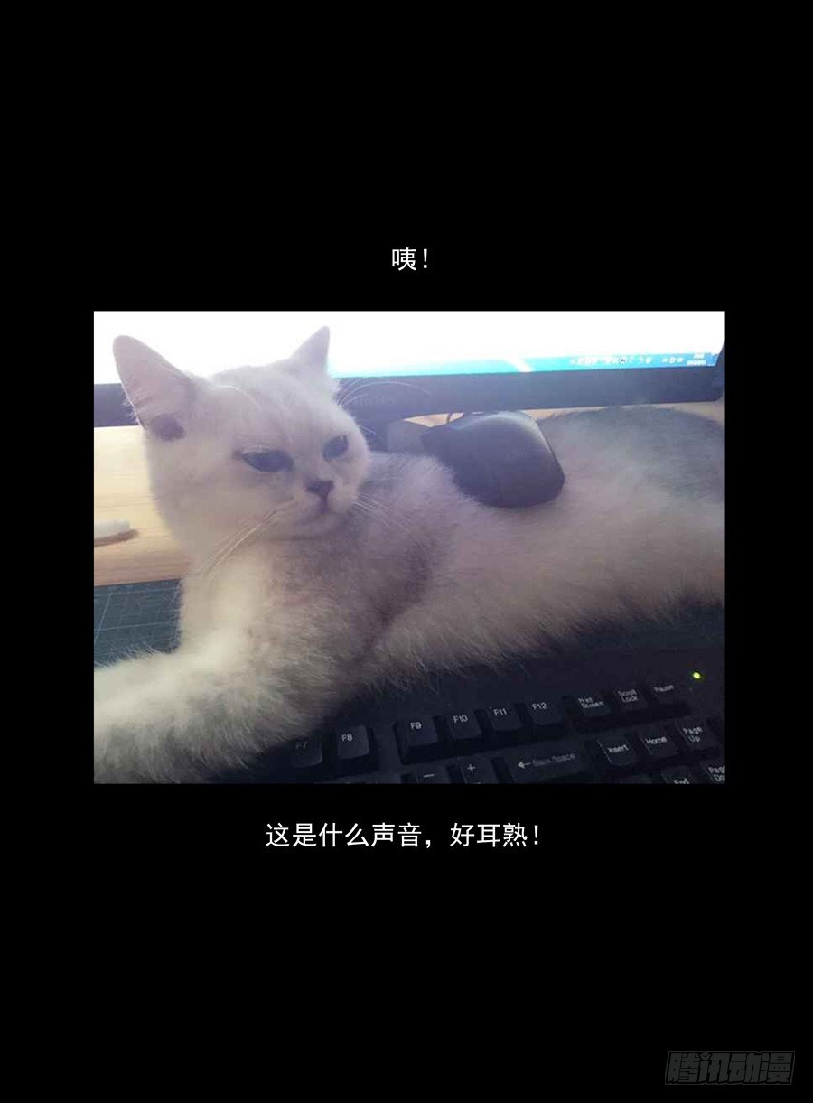 47.中秋番外篇14