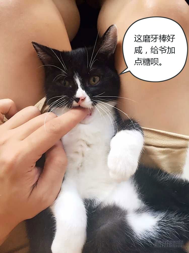 48.美女老师的秘密授练11