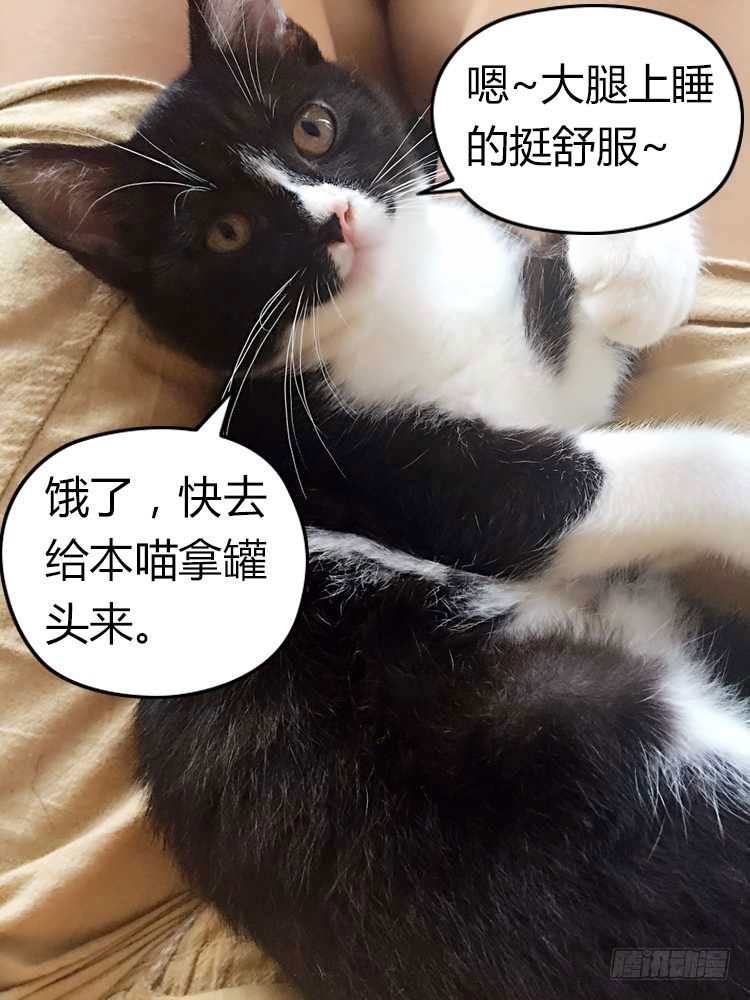 48.美女老师的秘密授练12