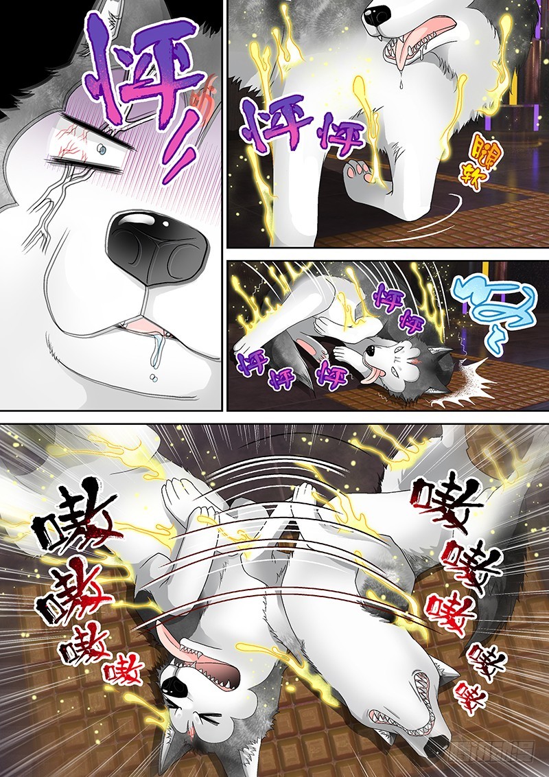 016-2 哔了狗了！5