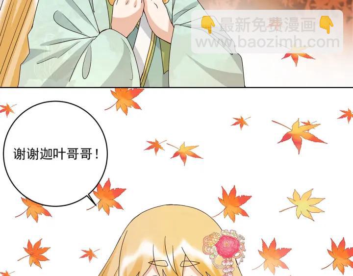 第140回 枫叶4
