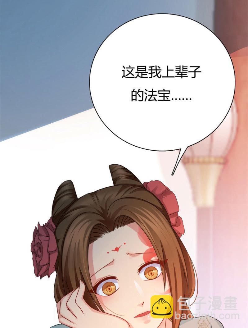 上辈子的法宝8