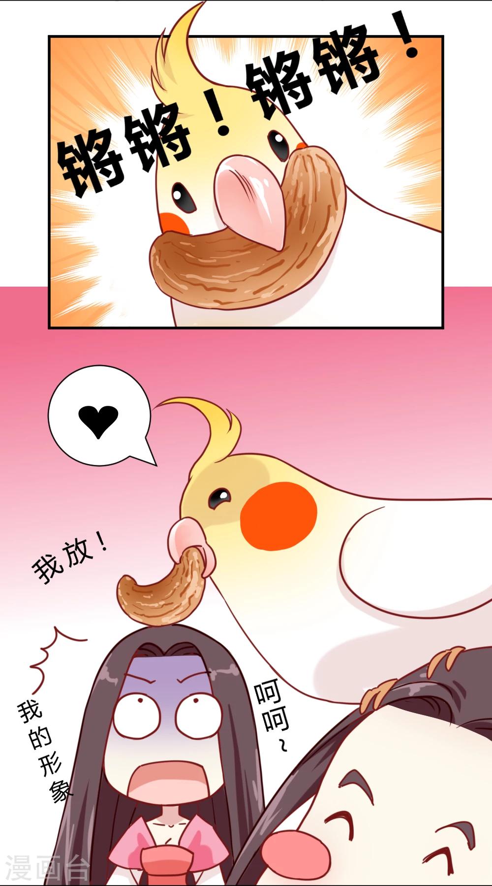 花絮之来自编辑的疑问5