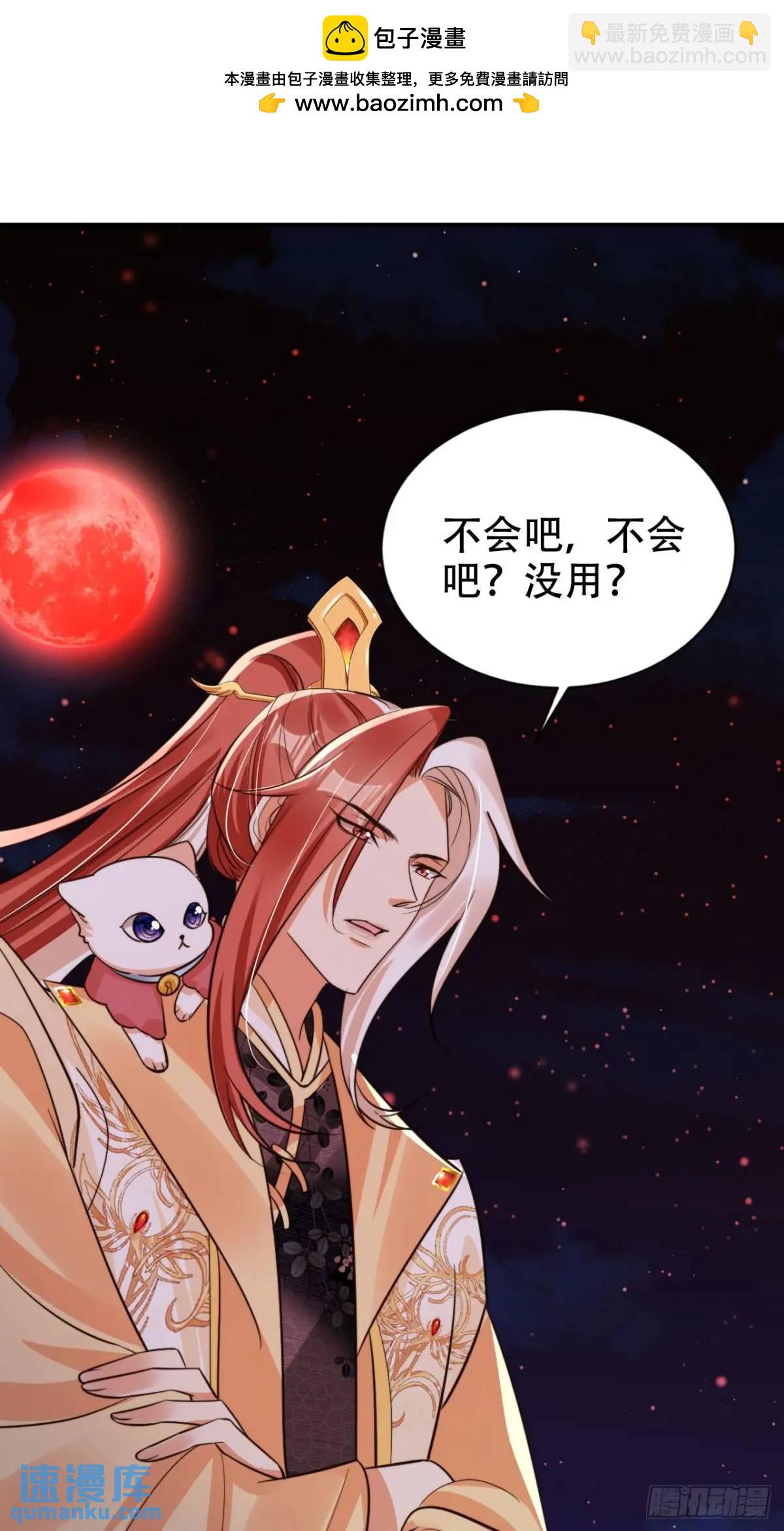 115 喵说话了？！1