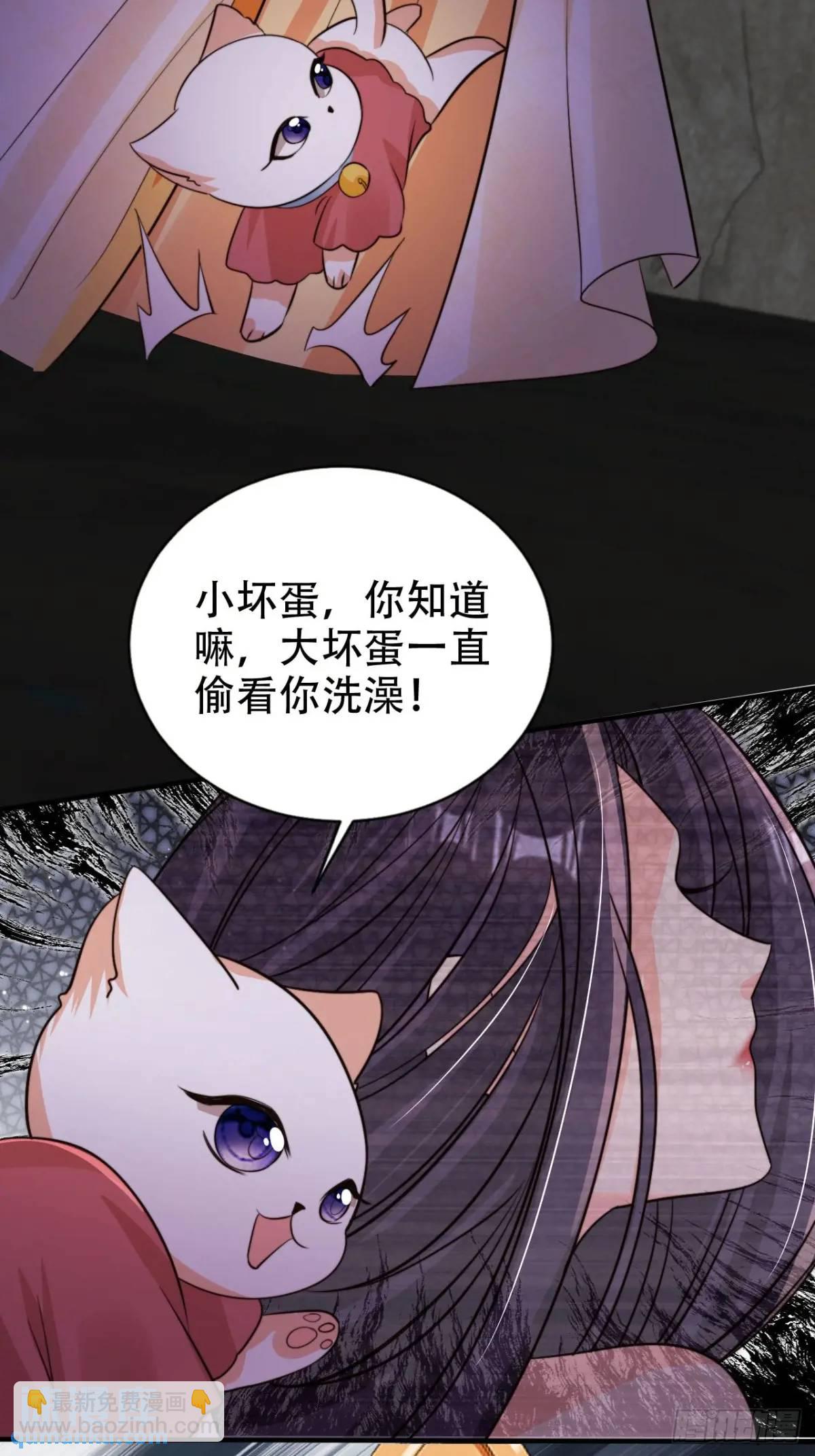 115 喵说话了？！35