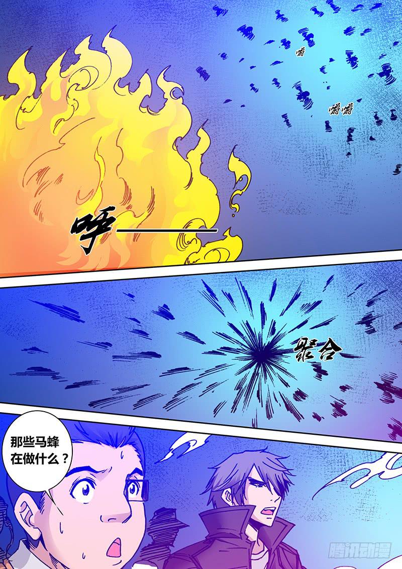 第二百一十八章 小强2